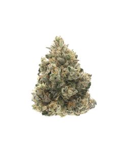 Northern Lights (indoor) THCA Flower- High Potency