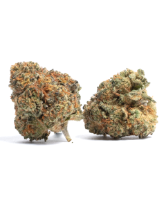 Lemon Haze 1g Five Pack